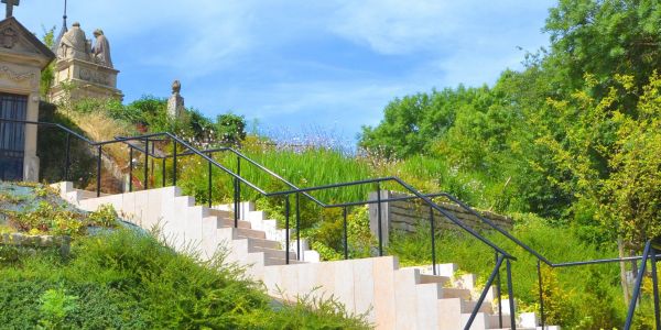 UN CIMETIÈRE PLUS VERT OÙ S’ENTREMÊLENT DOUCEUR ET SÉRÉNITÉ