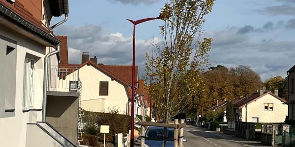 Plantation de nouveaux arbres dans la rue d’Eich