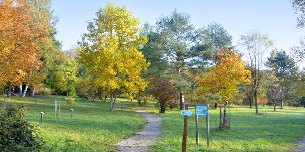 L’Arboretum