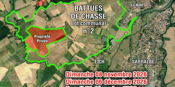 Battues de chasse 2026/2027 Battues de chasse 2026/2027