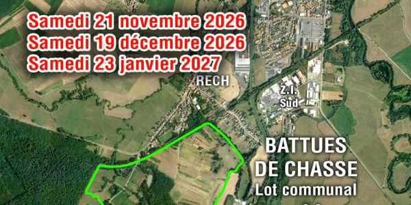 Battues de chasse 2026/2027 Battues de chasse 2026/2027