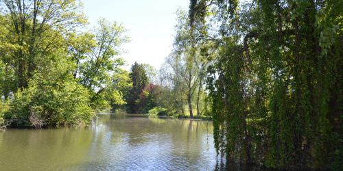 Les rivières : la Sarre et l’Albe