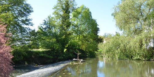 Les rivières : la Sarre et l’Albe