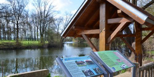 Les rivières : la Sarre et l’Albe