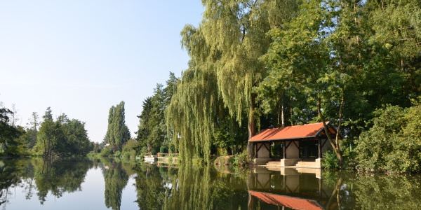 Les rivières : la Sarre et l’Albe