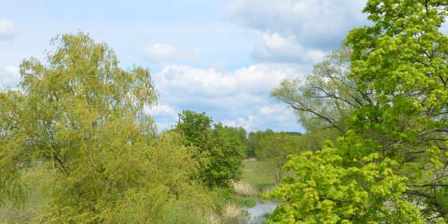 Les rivières : la Sarre et l’Albe