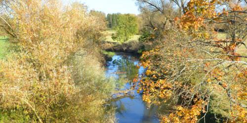 Les rivières : la Sarre et l’Albe