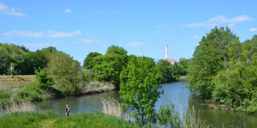 Les rivières : la Sarre et l’Albe