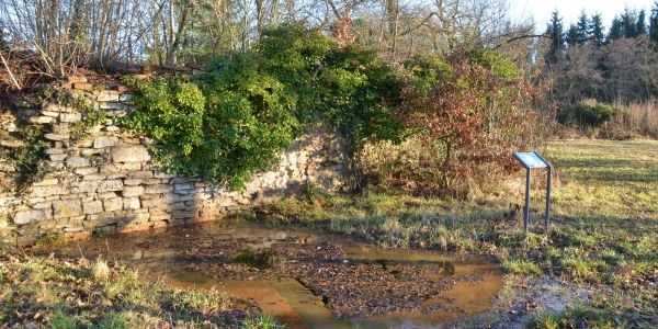 La source de Salzbronn