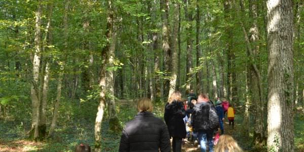 Le circuit « du sentier des Mardelles »