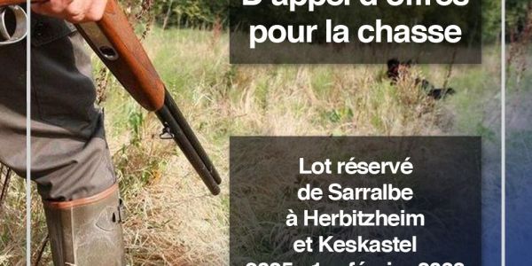 Avis public d’appel d’offres pour la chasse