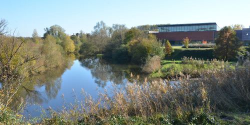 Les rivières : la Sarre et l’Albe