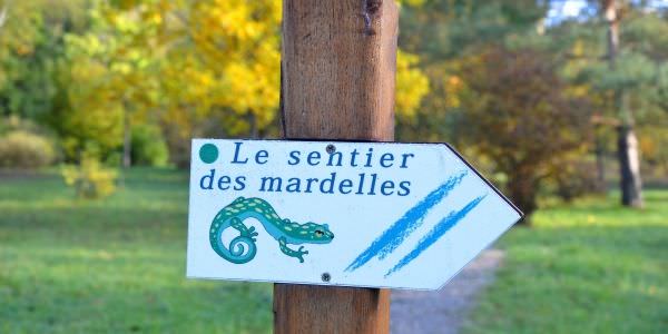 Le circuit « du sentier des Mardelles »