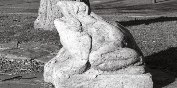 Les Grenouilles Les Grenouilles