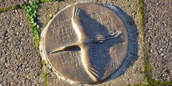 Le Parcours des Cigognes