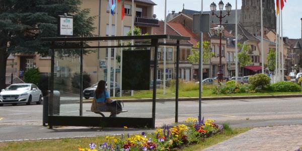 Le réseau de transport CABUS